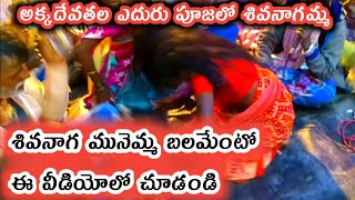 శివనాగ మునెమ్మ  అక్కదేవతల ఎదురు పూజ  palyakere akkadevathala eduru pooja  shivanaga munemma song [upl. by Elna]