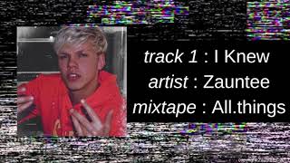 Zauntee  Allthings  I Knew Official Audio [upl. by Neff]