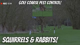 Pest Control At the Golf Coarse Squirrels amp Rabbits [upl. by Stoller]