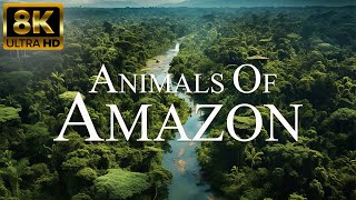 Amazon Animals In 8K ULTRA HD   Amazon Rainforest [upl. by Aramahs]