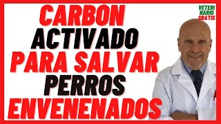 Pastillas de Carbón Vegetal Activado para Perros 🔴 Qué hacer en caso de Envenenamiento de un Perro 🔴 [upl. by Llenil]