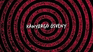 hiperkarma  kanyargó ösvény official lyric video [upl. by Eleonore129]