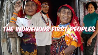 The Indigenous First Peoples of Trinidad  Trinidad Youtuber [upl. by Ayotol140]