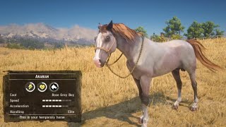 BEST HORSES IN Red Dead Redemption 2 Top 5 Best Horses RDR2 What is Best Horse in RDR2 [upl. by Robma]