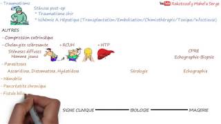 ICTÈRE A BILIRUBINE CONJUGUÉE CHEZ LADULTE  Cholestase extrahépatique [upl. by Alrats]