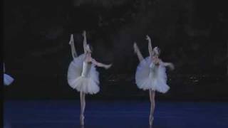 Swan Lake Act II  Big Swans Dance [upl. by Adnalay]