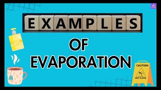 Common Examples Of Evaporation  Evaporation Around Us  Simple Examples Explained [upl. by Hanimay337]