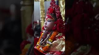 Goddess Kumari A living symbol of divine purity [upl. by Tteve]