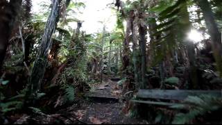 Waiotapu Thermal Wonderland New Zealand Farn Rain Forest [upl. by Seiuqram391]