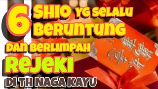 6 SHIO yg selalu BERUNTUNG amp berlimpah REJEKI di th NAGA KAYU [upl. by Aniarrol]