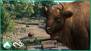 Building a WISENT Habitat in the Elm Hill City Zoo  Planet Zoo [upl. by Philippa]