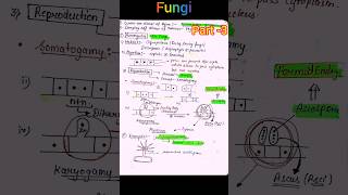 SEEP MAM Kingdom Fungi Class 11th Botany neetnotes neetkineevneet2025 [upl. by Zelda]