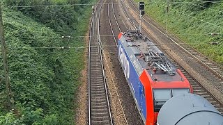 SBB 482 mit Kesselwagen in Duisburg Richtung Düsseldorf Rath [upl. by Jary]