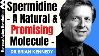 SPERMIDINE – A Natural amp Promising Molecule  Dr Brian Kennedy Interview Clips [upl. by Nezah]