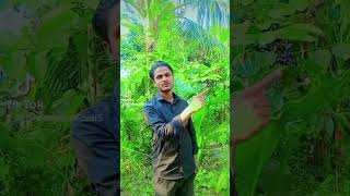 তারে এই জন্মে নাই যদি vairalshort shorts sorts vairalvideo comedyfilms binodon funny comedy [upl. by Grim]