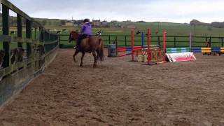 Teagan at Houston Farm Riding School [upl. by Intruok]