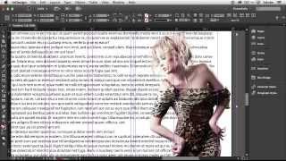 How To Get Started With Adobe InDesign CC  10 Things Beginners Want To Know How To Do [upl. by Notnel554]