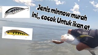 Minnow Killer MurahUltralight Casting Baby GT [upl. by Naivatco]