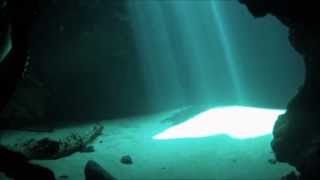 Freediving Blue Hole Spring [upl. by Arbuckle42]