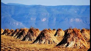 EL ZACATECANO DE ATOLINGA Y TLALTENANGO Eklipse de la Sierra [upl. by Leif]