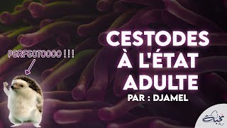 Parasitolgie  Cestodes à létat Adulte Par DJAMEL [upl. by Aluino1]