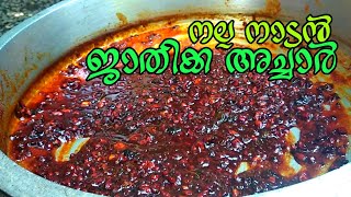 ജാതിക്ക അച്ചാർ  jathikka achar  simple  healthy  kerala style  JustTryMalayalam  musttry [upl. by Dryfoos]