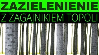 Greening z zagajnikiem topoli  dopłata 74 EURha oraz drewno opałowe kłody na handel [upl. by Tilford]