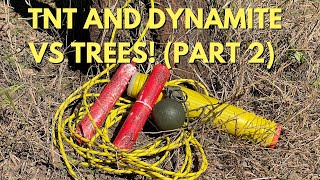 TNT Dynamite and other High Explosives VS Trees Part 2 topshottreeservice [upl. by Madda]