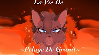 La Vie De Pelage De Granit LGDC [upl. by Darn]