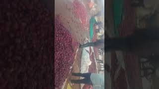 Shamgarh Mandi mein nahar ka Pani pipe leakage hone se Kisan ki faslon mein Bhari nuksan [upl. by Amena]