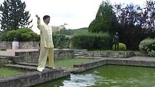 Les 18 exercices du Tai Ji Qi Gong [upl. by Farny974]