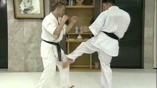 Kyokushin Kumite Image Training Part 2 [upl. by Merrel]