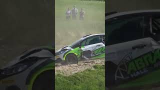 That’s why Lithuanian Rally Fans Going CRAZY rally [upl. by Idnac659]