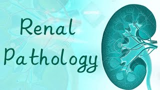 RENAL PATHOLOGY 7  Pyelonephritis [upl. by Adnarahs630]