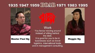 Canadian Chinese Fengshui Master Paul Ng 2020 Zodiac Animal Predictions Boar [upl. by Carrelli]