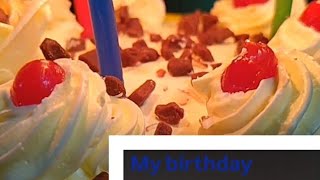 Is my birthday celebration mere sath koi bhi nahi hai I only have a cameraman with mevlog [upl. by Eel]