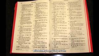 Punjabi CL Bible  Common Language Version [upl. by Kcam]