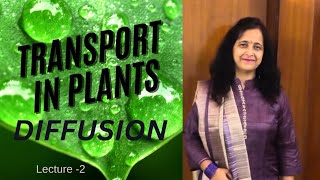 Transport In Plants  Diffussion  Easy Explanation  Biology Ocean [upl. by Adarbil169]