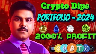 20X POTENTIAL  CRYPTO DIPS PORTFOLIO 2024 [upl. by Bracci]