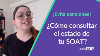 ¿Cómo consultar la vigencia de tu SOAT en el RUNT Sigue este paso a paso [upl. by Annaor]