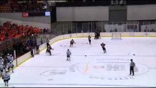 Video Verona boys hockey captures first WIAA state title [upl. by Ateiram]