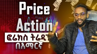 Price Action Forex Tranding Strategy In Amharic  Ethiopia Forex tekadgfx [upl. by Ylicic]