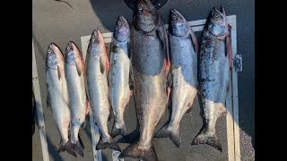 2024 Puget Sound Salmon Forecast LIVE  QampA [upl. by Hazeghi879]