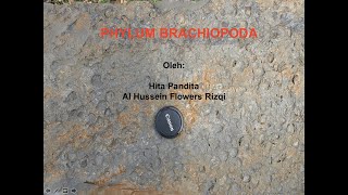 PALEONTOLOGI  FILUM BRACHIOPODA [upl. by Etneciv]