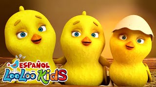 🐥 Los Pollitos y Éxitos Infantiles  30 Minutos de Canciones para Cantar  LooLoo Kids [upl. by Bernarr]