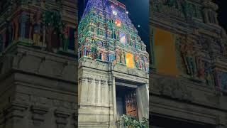 ANAIMALAI MASANI AMMAN KOVIL KUMBABISHEKAM  12 12 2024 sana vlog AKF ❤❤❤ [upl. by Ipoillak146]