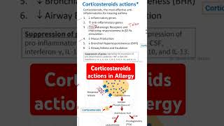 Corticosteroids actions in Allergy [upl. by Kama]