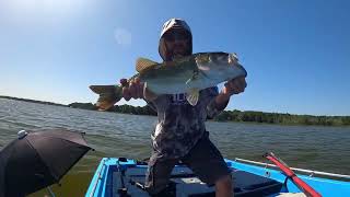 Live Bass Fishing Harris Chain recap Warning Slayfest [upl. by Eniarda]