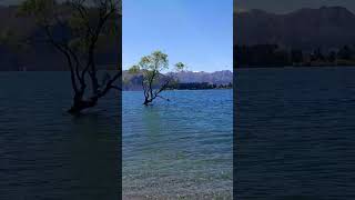 newzealand wanaka [upl. by Agan]