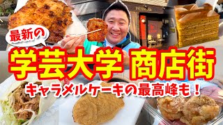 【学芸大学商店街】グルメ攻略ガイド（老舗焼鳥やNo1キャラメルケーキなど食べ歩き） [upl. by Asilem372]